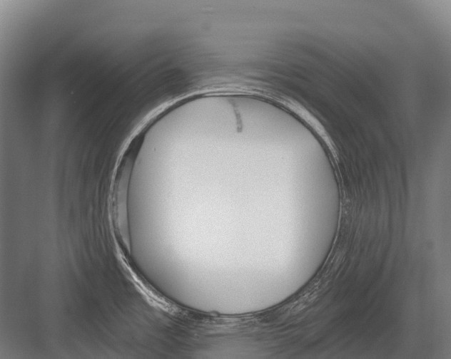 X0000081581485200702121435