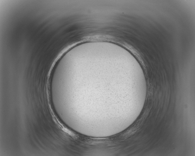 X0000081581486200702121435