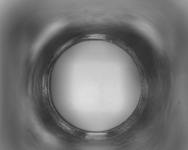 X0000081581487200702121435