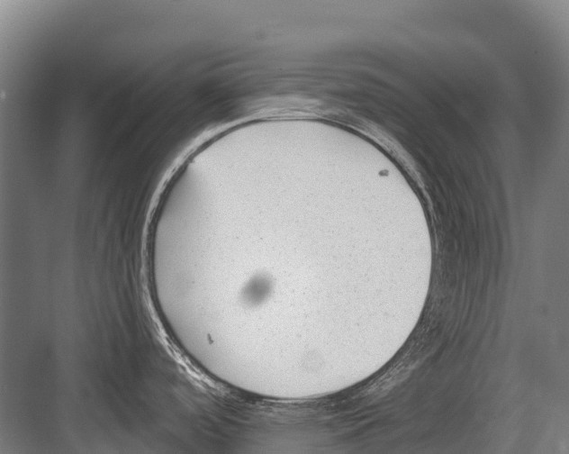 X0000081581488200702121434