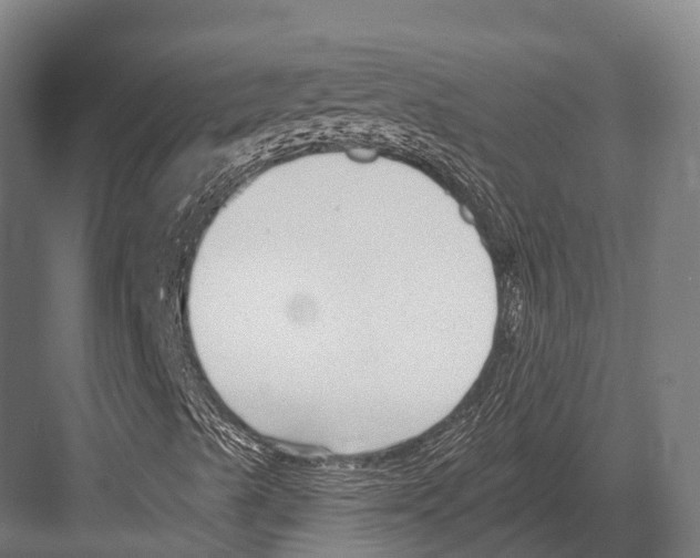 X0000081581489200702121434