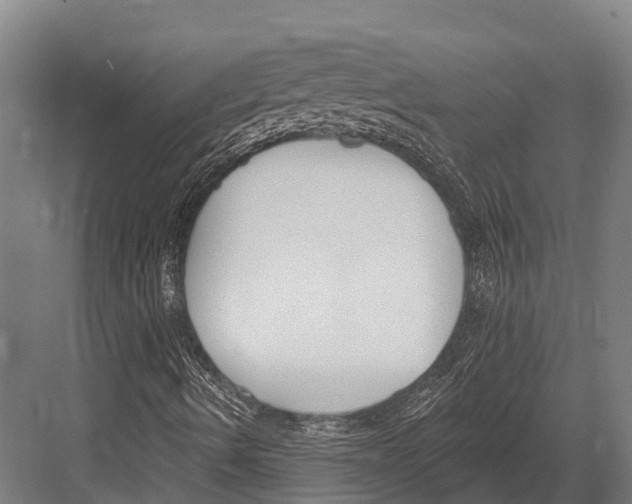 X0000081581490200702121434