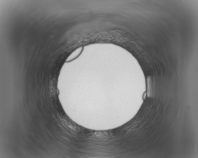 X0000081581491200702121434