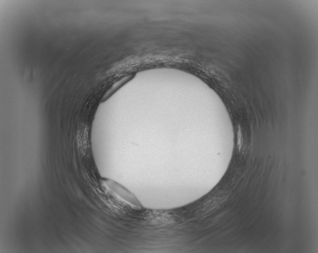 X0000081581492200702121434