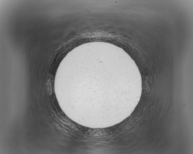 X0000081581493200702121434