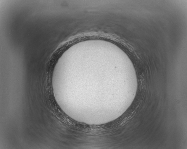 X0000081581494200702121434