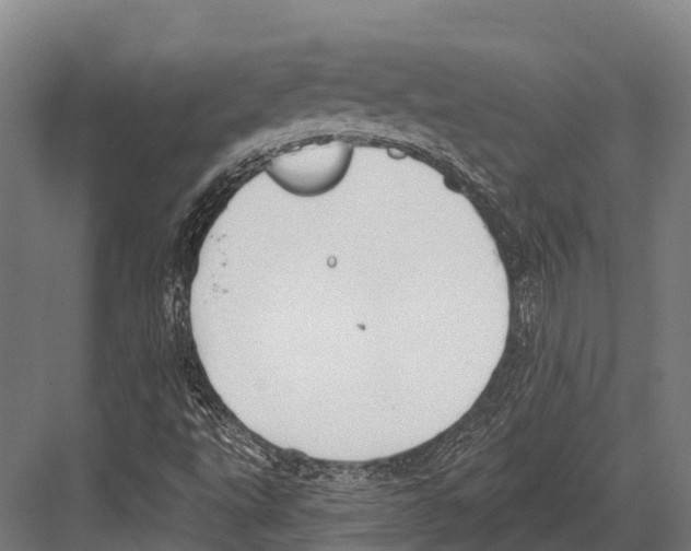 X0000081581495200702121434