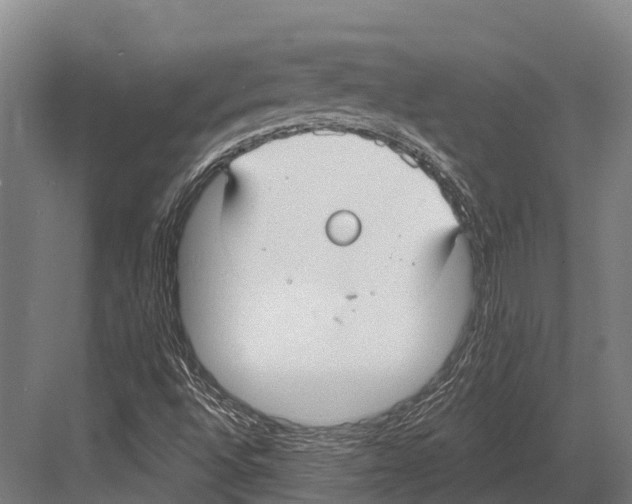 X0000081581496200702121434