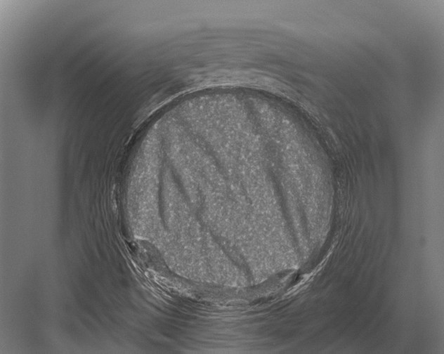 X0000081581497200702121434