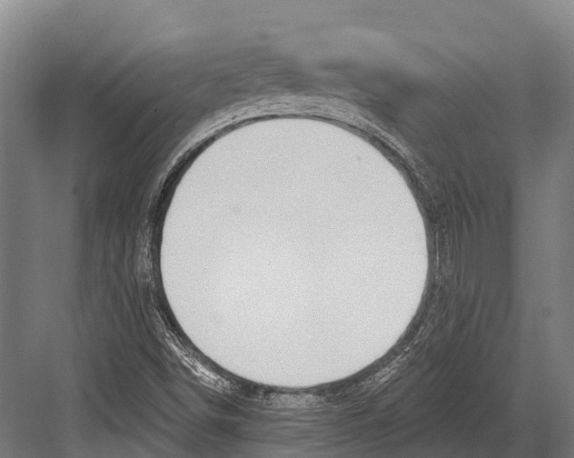 X0000081581498200702121434