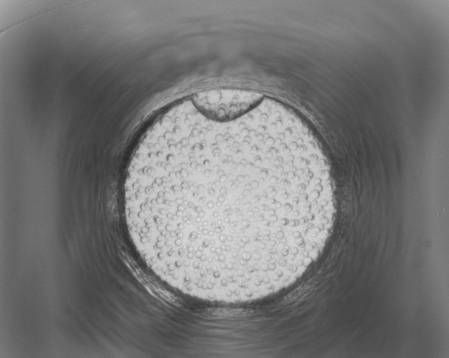 X0000081581499200702121434