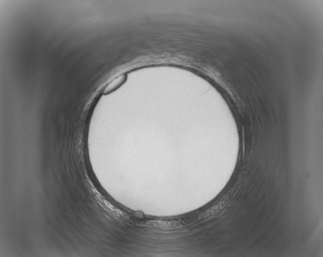 X0000081581500200702121434