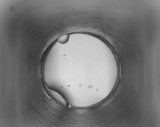 X0000081581501200702121434