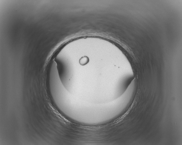 X0000081581502200702121434