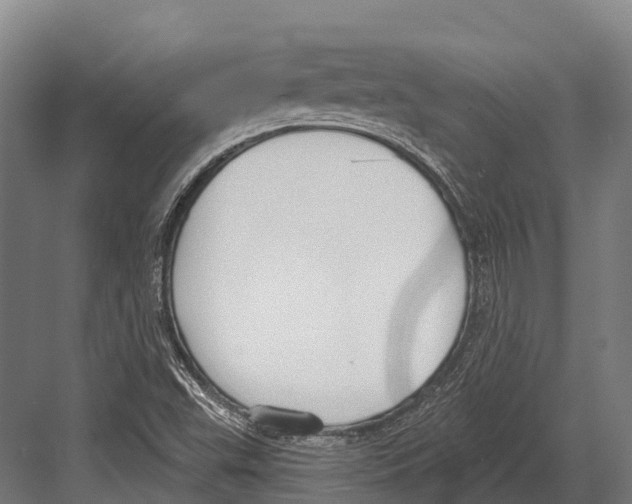 X0000081581503200702121434