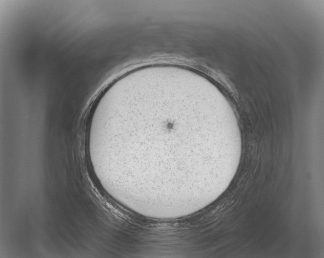 X0000081581504200702121434