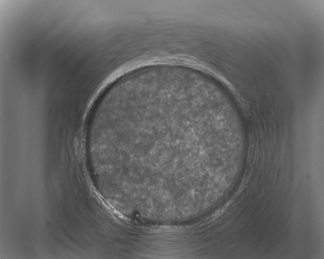 X0000081581506200702121434