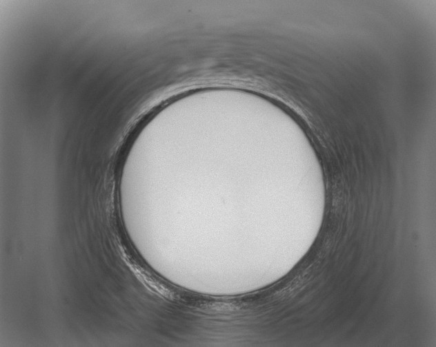 X0000081581507200702121434