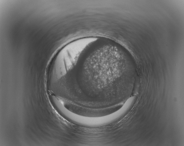 X0000081581508200702121434