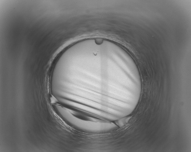 X0000081581510200702121434