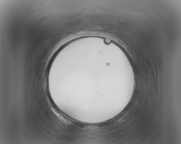 X0000081581511200702121434