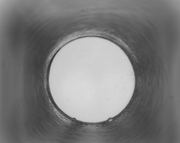 X0000081581512200702121434