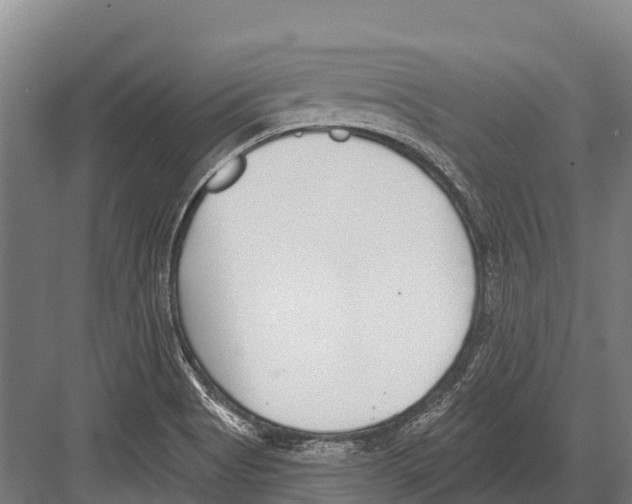 X0000081581513200702121434