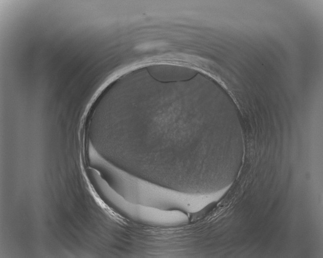 X0000081581515200702121434