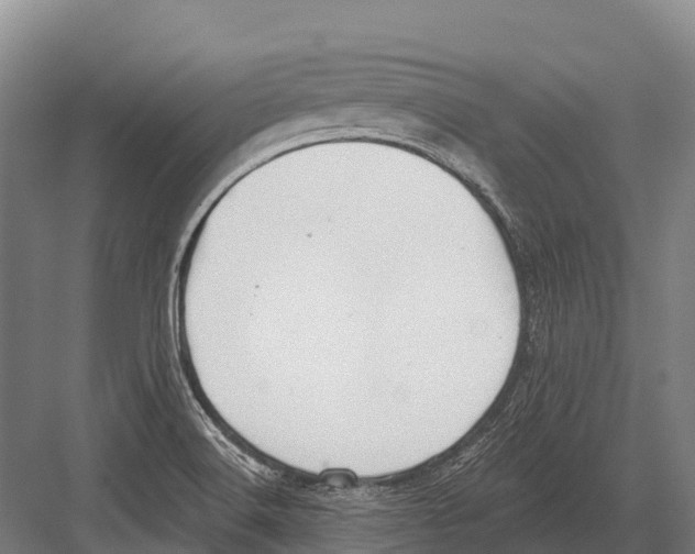 X0000081581516200702121434