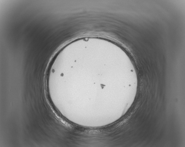 X0000081581517200702121434