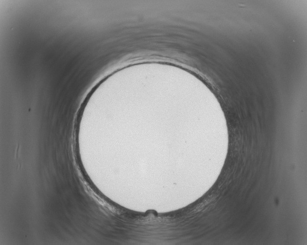 X0000081581518200702121434