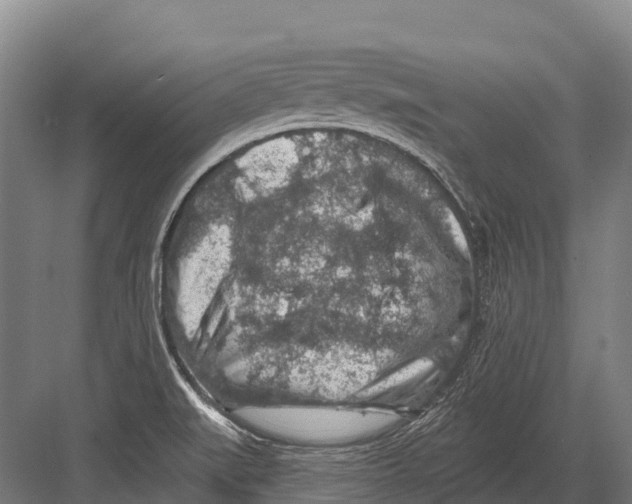 X0000081581519200702121434