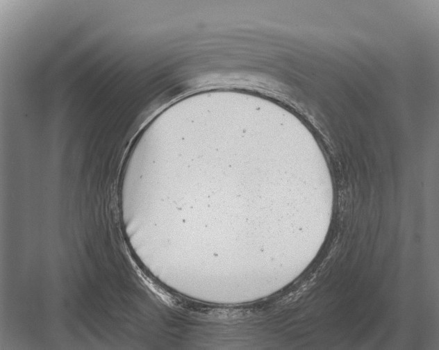 X0000081581521200702121434