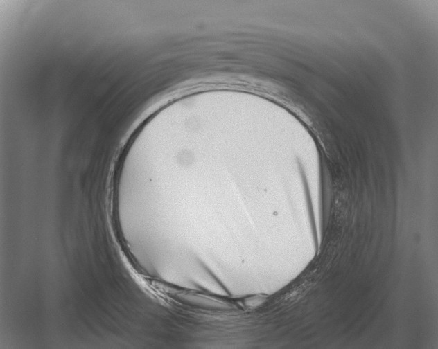 X0000081581523200702121434