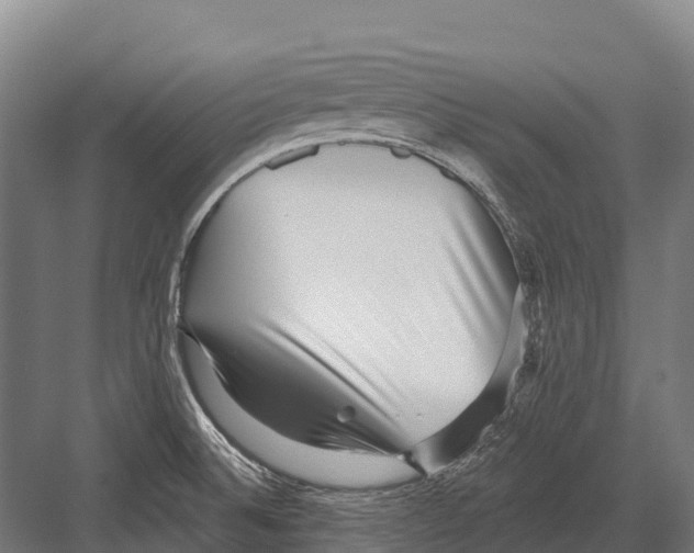 X0000081581524200702121434