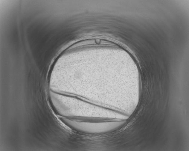 X0000081581525200702121434