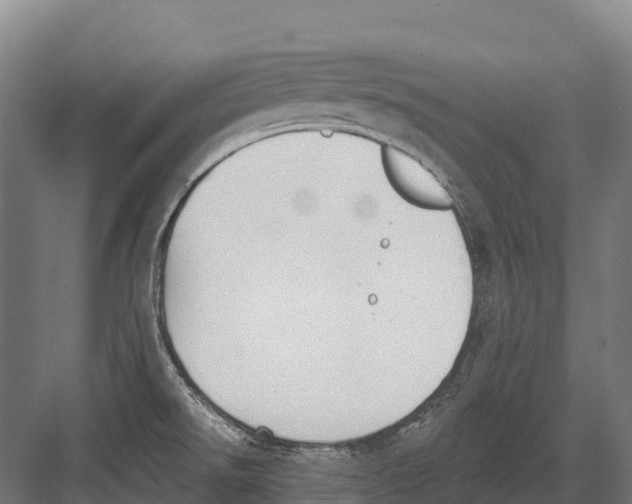 X0000081581526200702121434