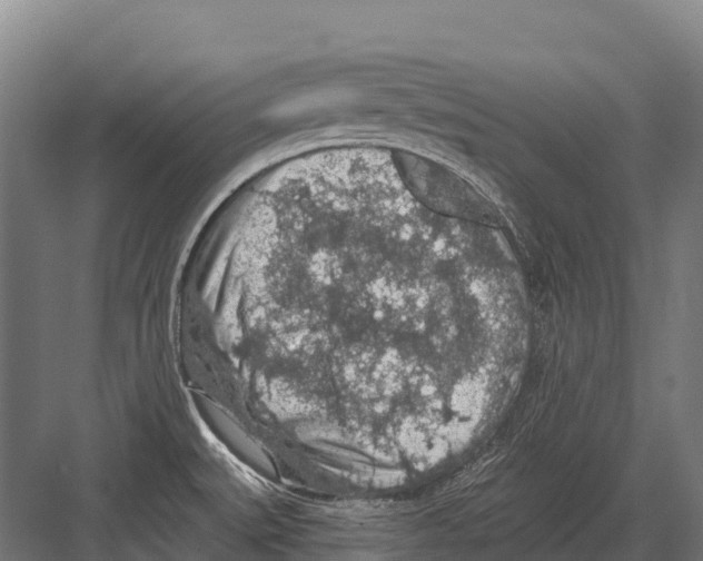 X0000081581527200702121434