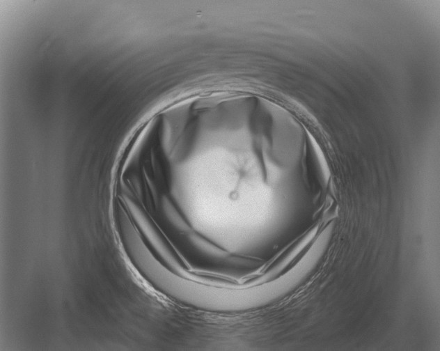 X0000081581528200702121434