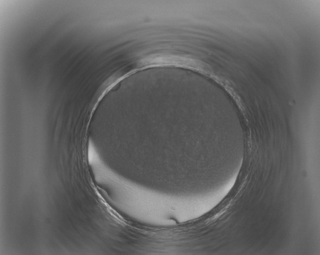 X0000081581529200702121434