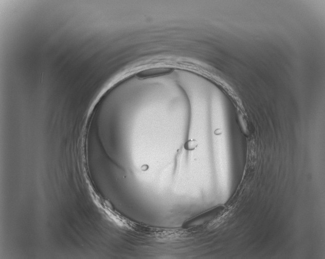 X0000081581530200702121434