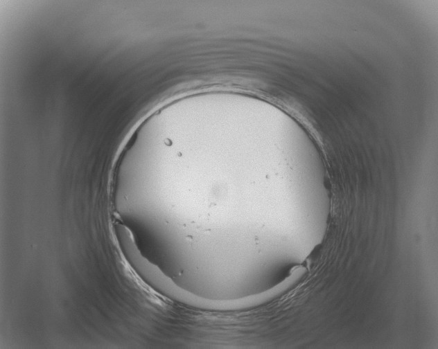 X0000081581532200702121434