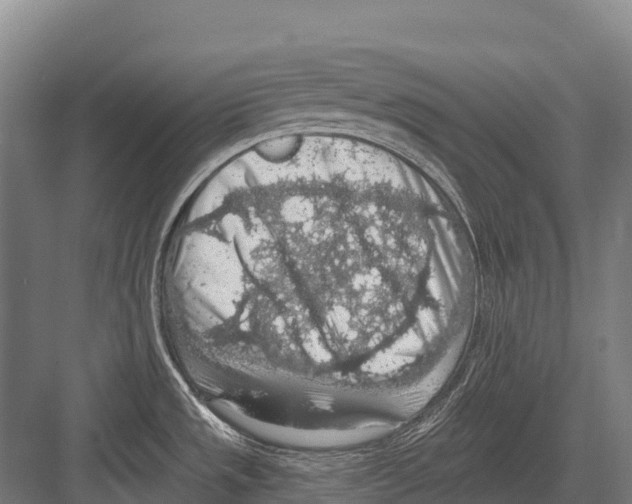 X0000081581533200702121434