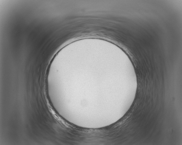 X0000081581534200702121434