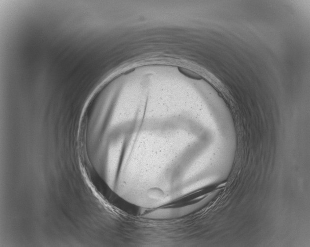 X0000081581536200702121434