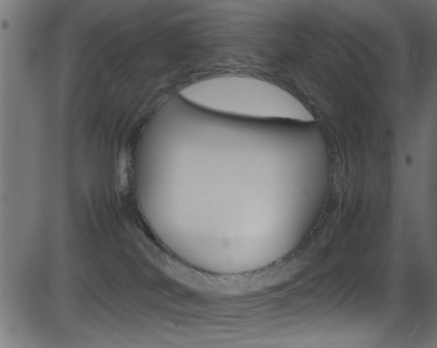 X0000081590038200701151037