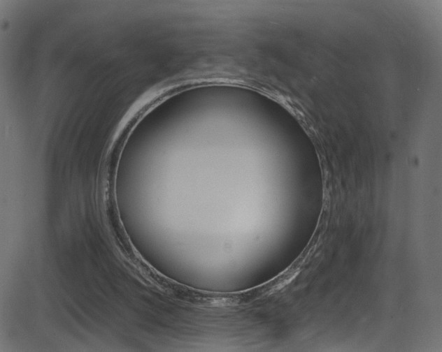 X0000081590056200701151036
