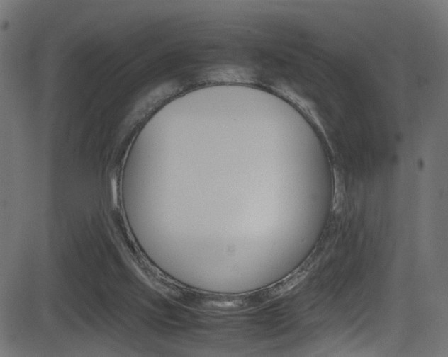 X0000081590061200701151036