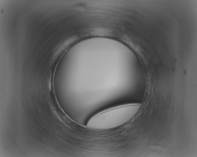 X0000081590062200701151036