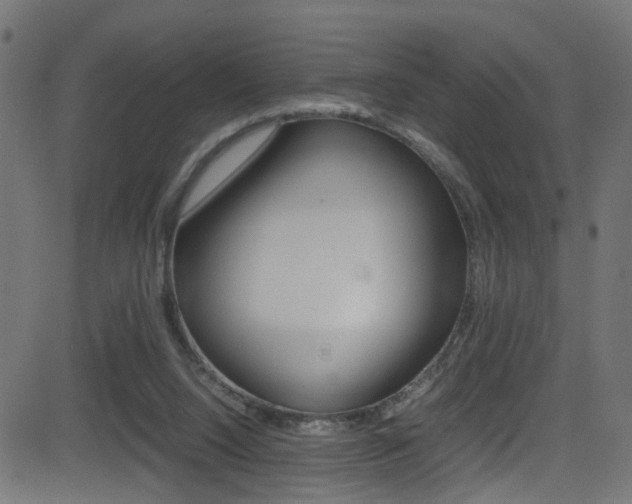 X0000081590064200701151036